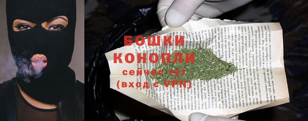 амф Осинники