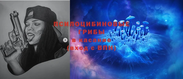 гидра Осташков
