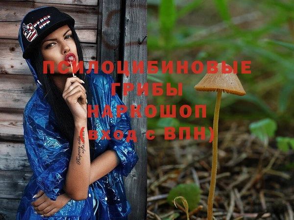 ГАЛЛЮЦИНОГЕННЫЕ ГРИБЫ Остров